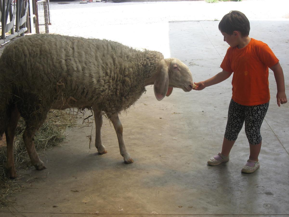 Agriturismo Le Risaie Basiglio Εξωτερικό φωτογραφία